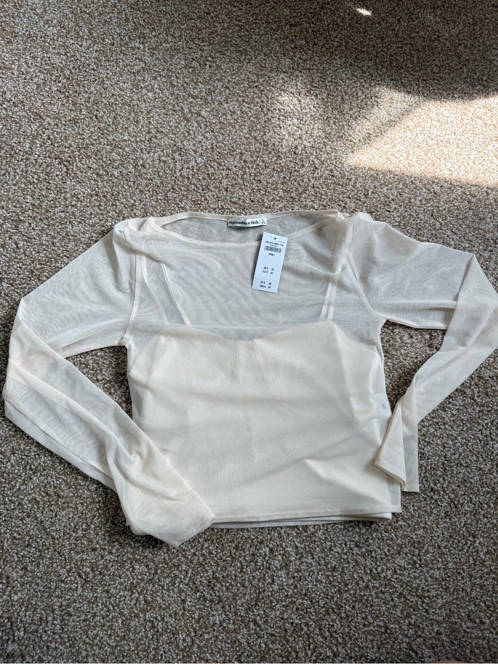 Abercrombie & Fitch Sheer Long Sleeve Top in Ivory